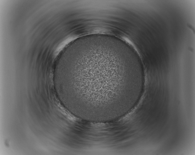 X0000099471019200805161106