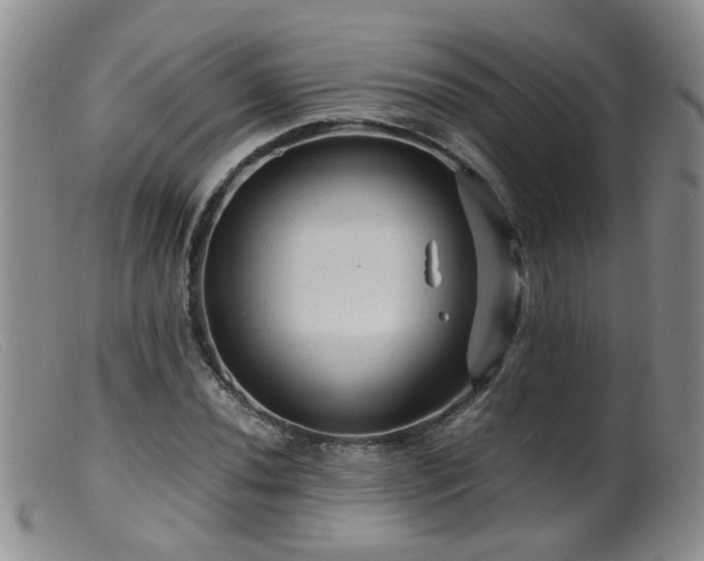 X0000099471020200805161106