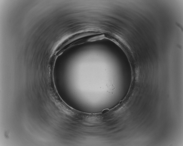 X0000099471021200805161106