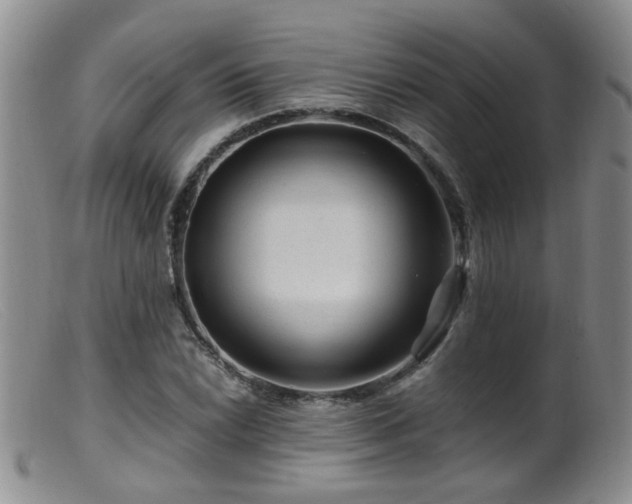 X0000099471022200805161106