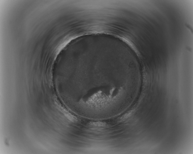 X0000099471023200805161106