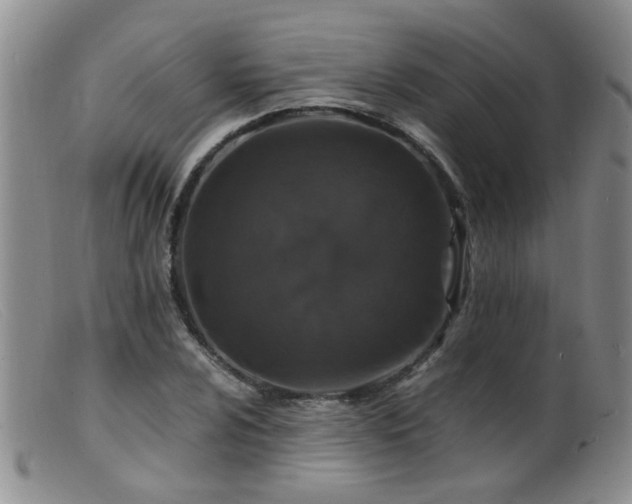 X0000099471024200805161106