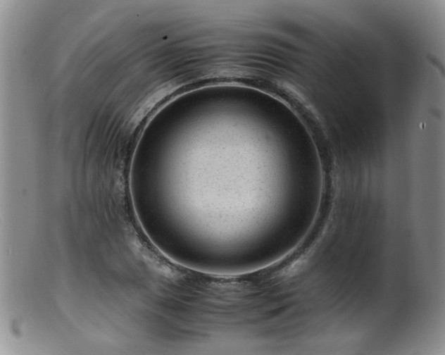 X0000099471025200805161106