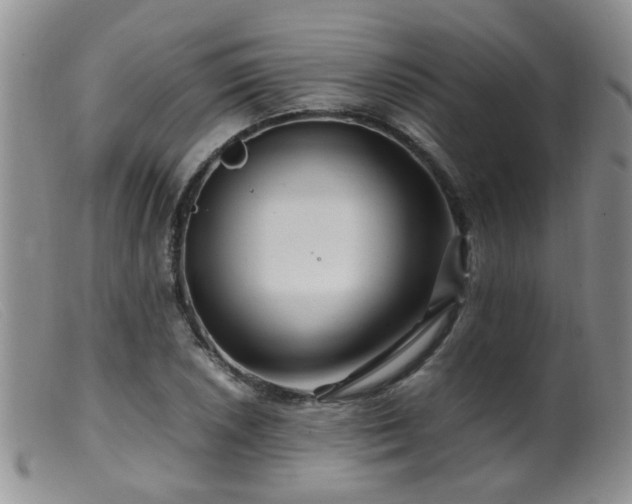 X0000099471026200805161106