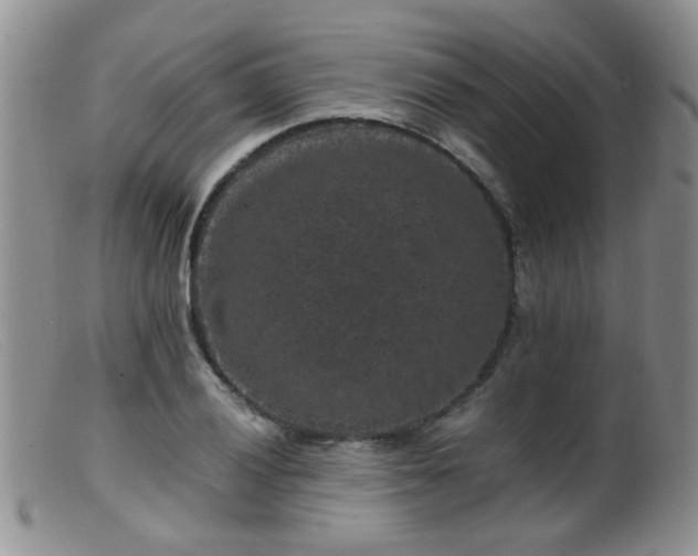 X0000099471028200805161106