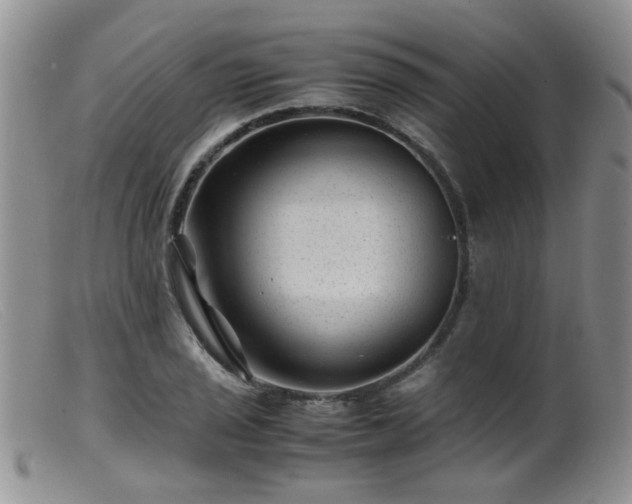 X0000099471029200805161106