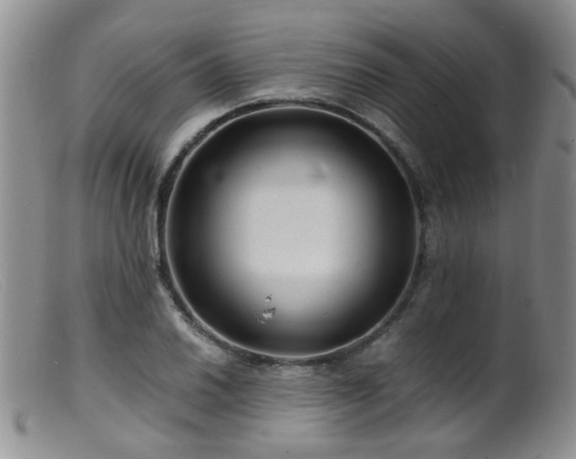 X0000099471030200805161106