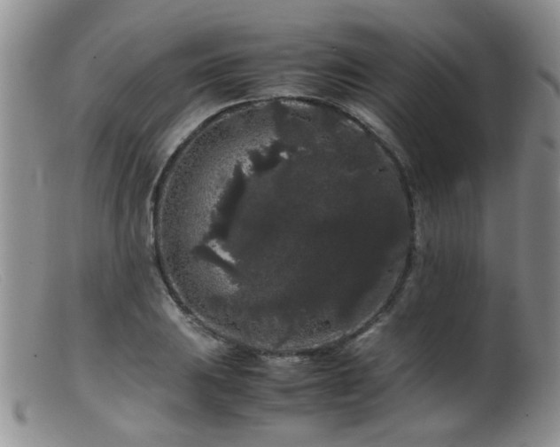 X0000099471031200805161106