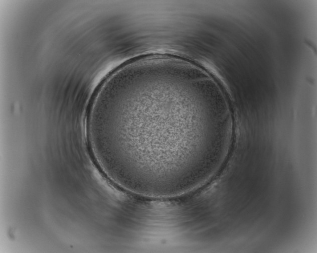 X0000099471032200805161106