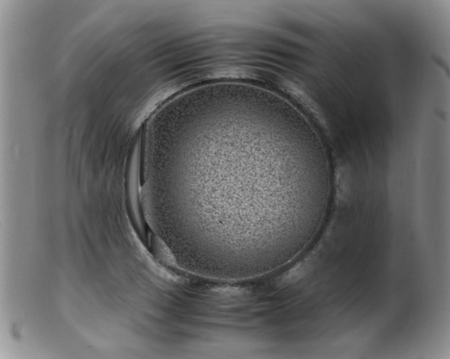 X0000099471033200805161106