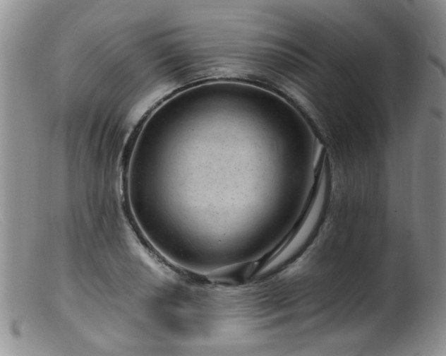 X0000099471034200805161106