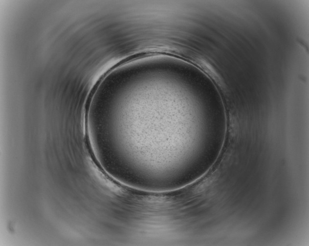 X0000099471036200805161106