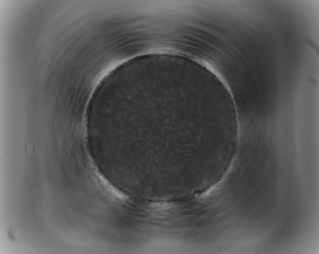 X0000099471037200805161106