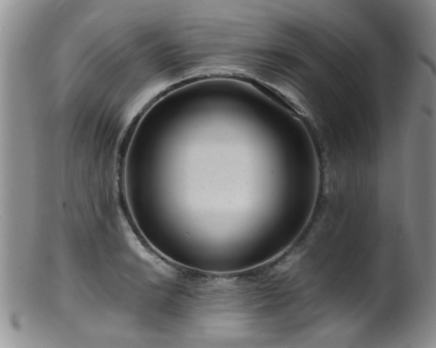 X0000099471038200805161106