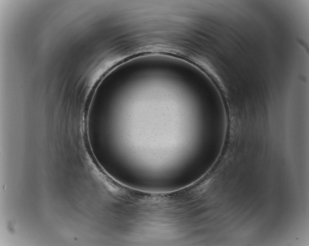 X0000099471040200805161106