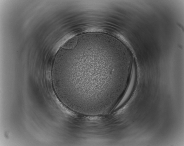 X0000099471041200805161106