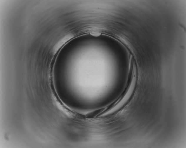 X0000099471042200805161106