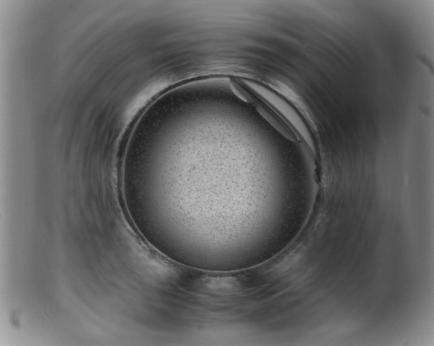 X0000099471043200805161106