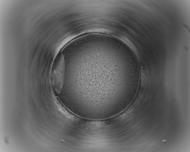 X0000099471044200805161106