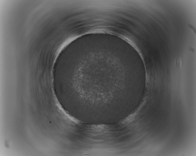 X0000099471045200805161106