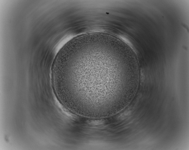 X0000099471047200805161106