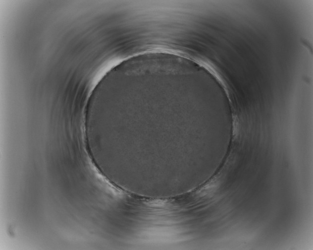 X0000099471048200805161106