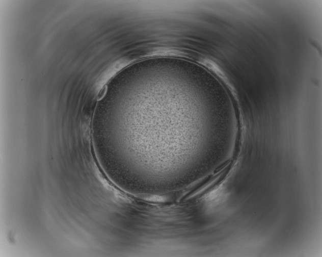 X0000099471049200805161106