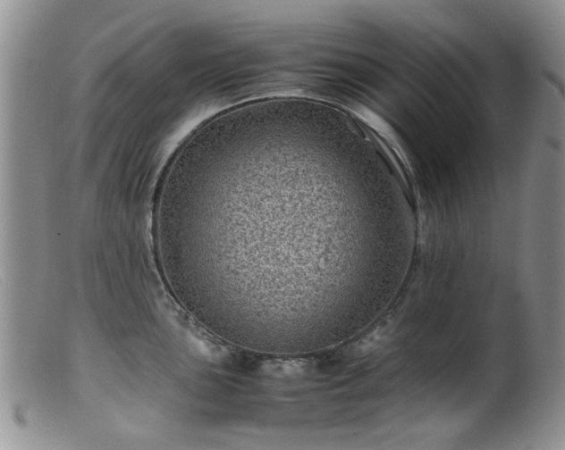 X0000099471051200805161106