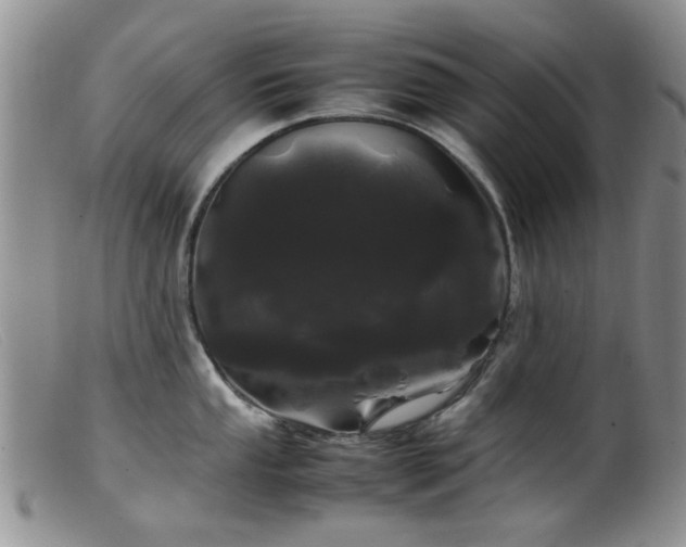 X0000099471053200805161106