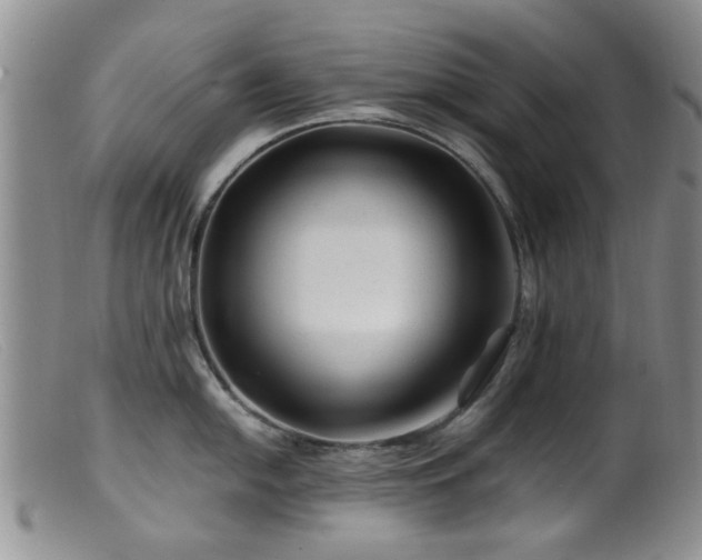 X0000099471054200805161106