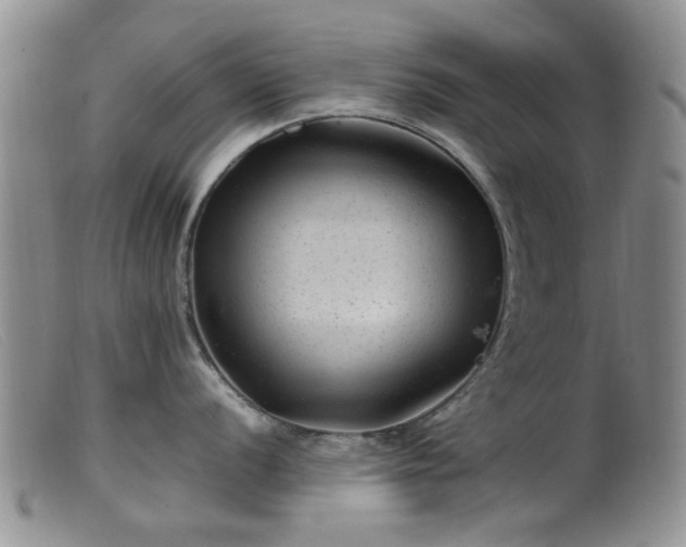 X0000099471056200805161106