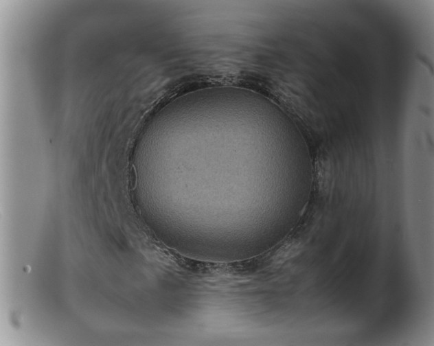 X0000099471057200805161106