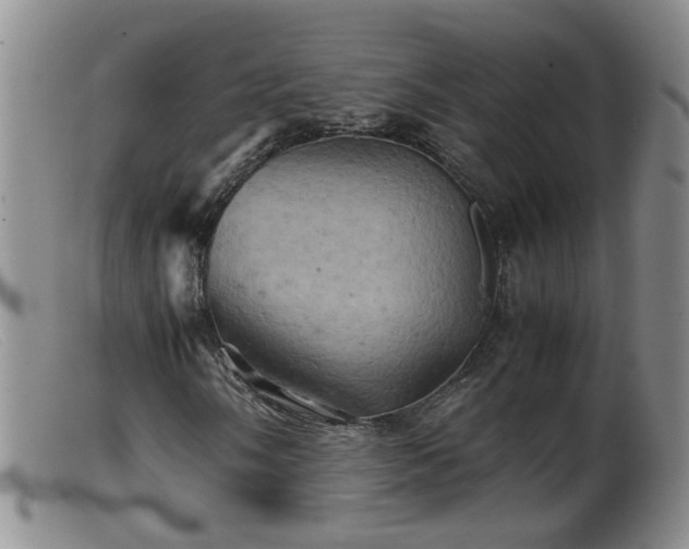 X0000099471058200805161105