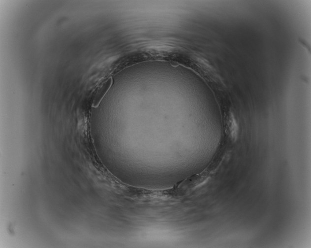 X0000099471061200805161105