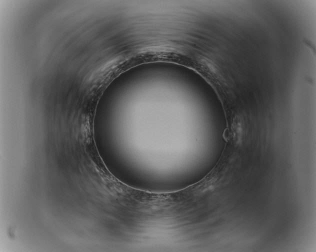 X0000099471062200805161105