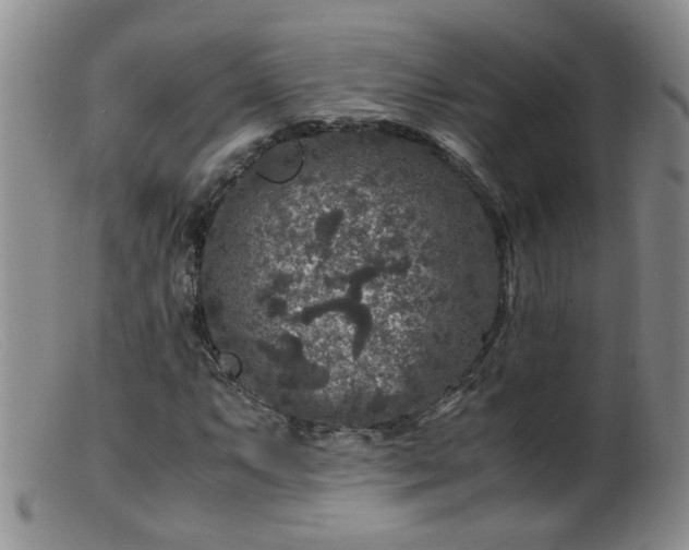 X0000099471063200805161105