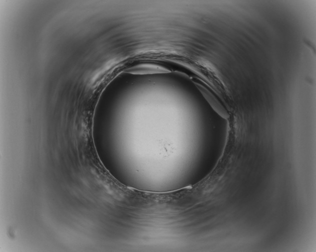 X0000099471064200805161105