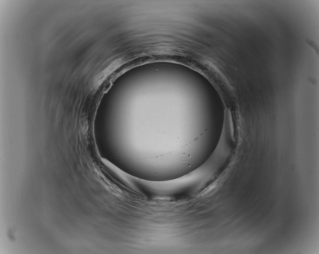 X0000099471065200805161105