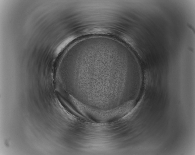 X0000099471066200805161105