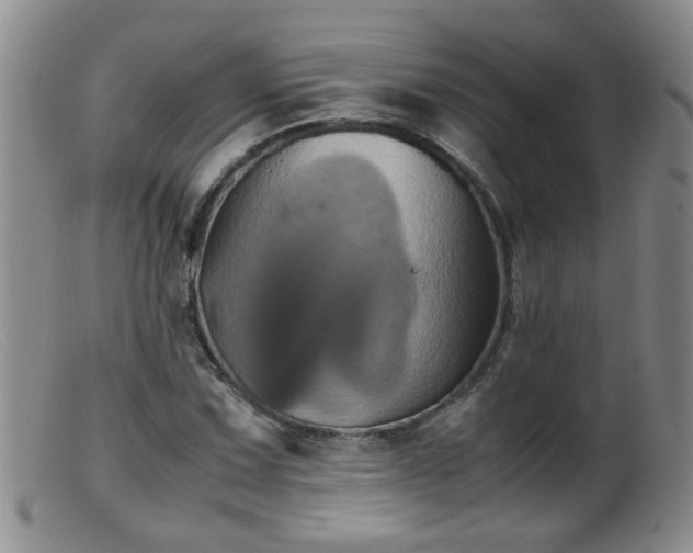 X0000099471067200805161105