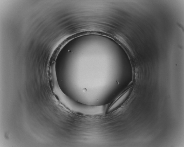 X0000099471068200805161105