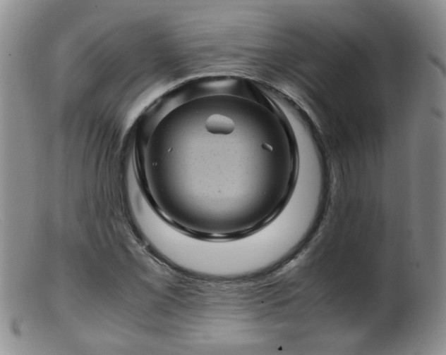 X0000099471069200805161105