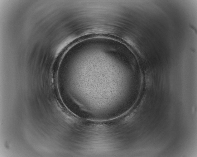 X0000099471070200805161105
