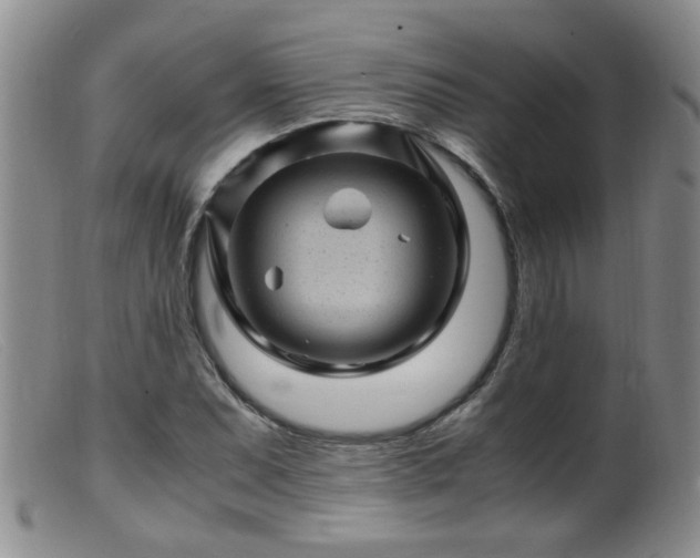X0000099471071200805161105