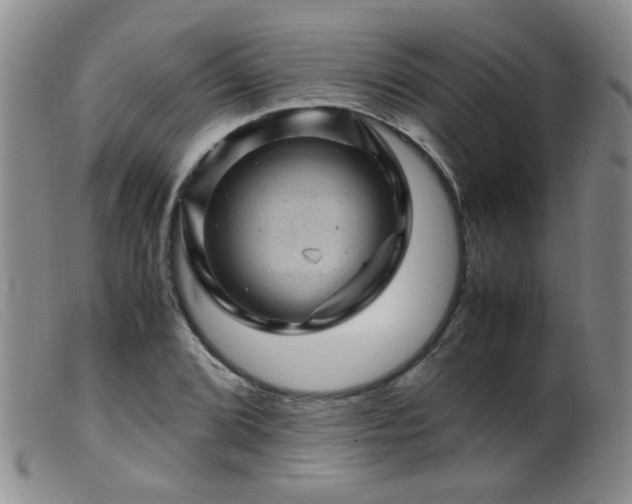 X0000099471072200805161105