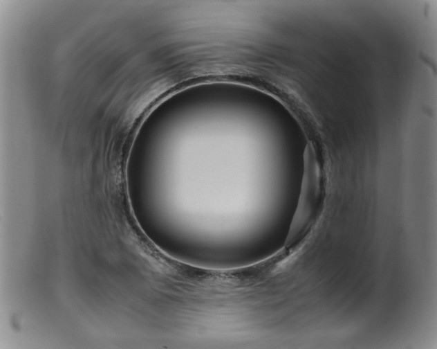 X0000099471073200805161105