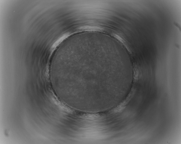 X0000099471074200805161105