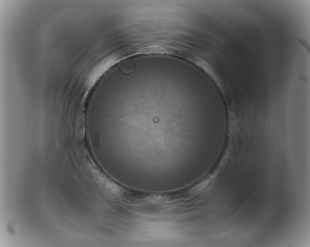 X0000099471075200805161105