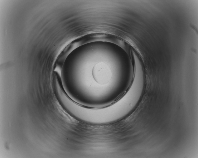 X0000099471076200805161105