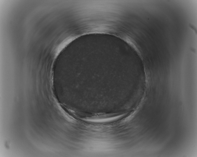 X0000099471077200805161105